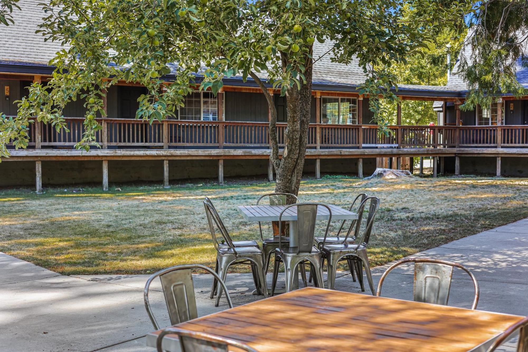 Shasta View Lodge McCloud Esterno foto